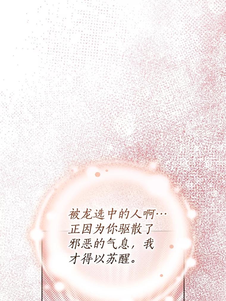 《成为被诅咒的公爵家的女主人》37.古代的标记 第95页