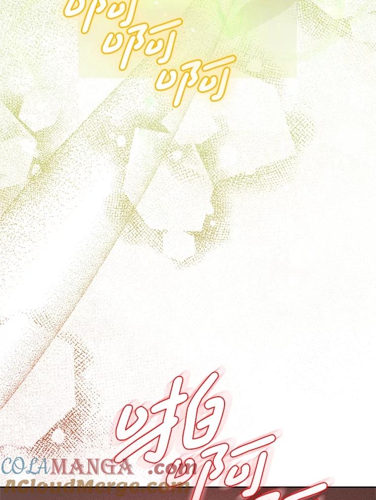 《成为被诅咒的公爵家的女主人》37.古代的标记 第93页