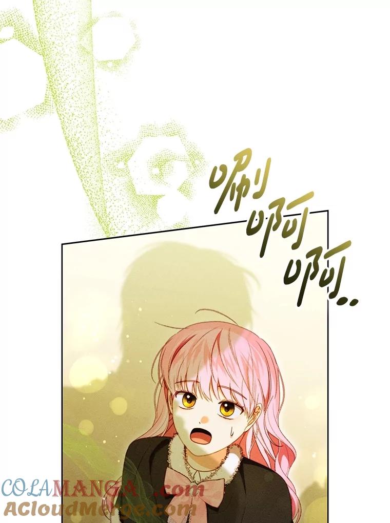 《成为被诅咒的公爵家的女主人》38.前往济贫院 第29页
