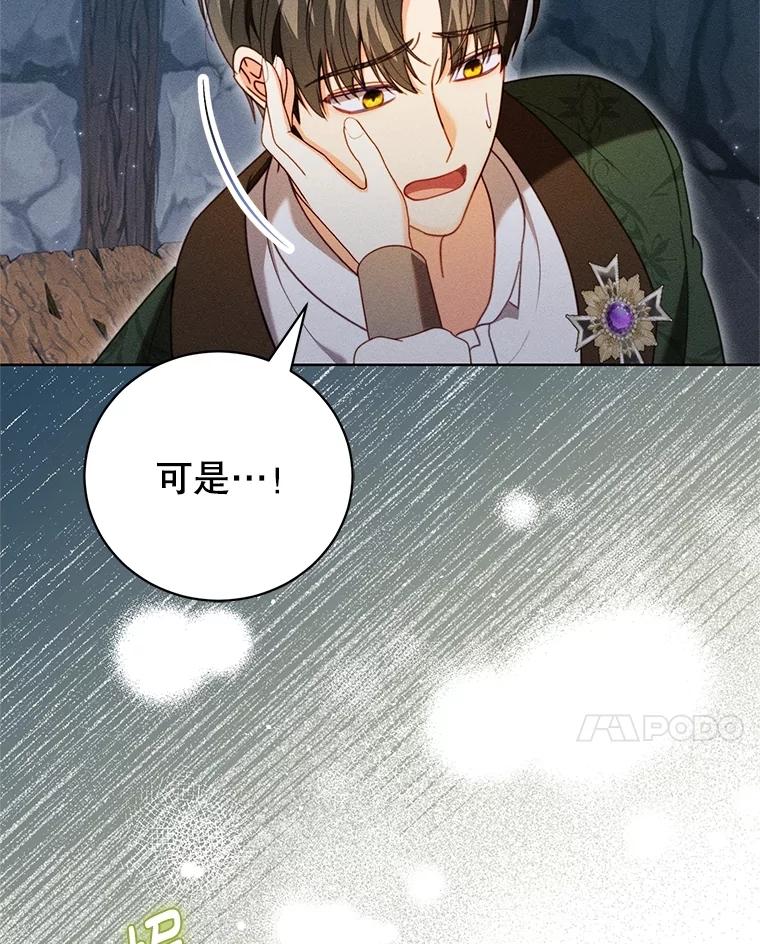 《成为被诅咒的公爵家的女主人》39.深情告白 第48页