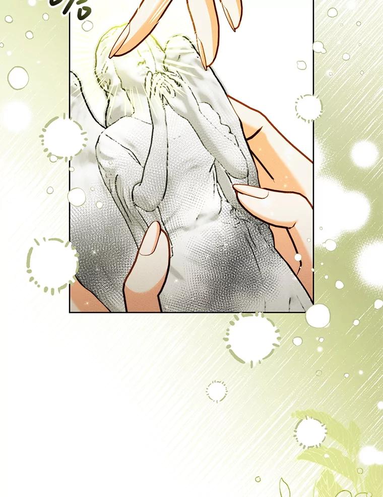 《成为被诅咒的公爵家的女主人》41.诅咒仍将继续 第23页