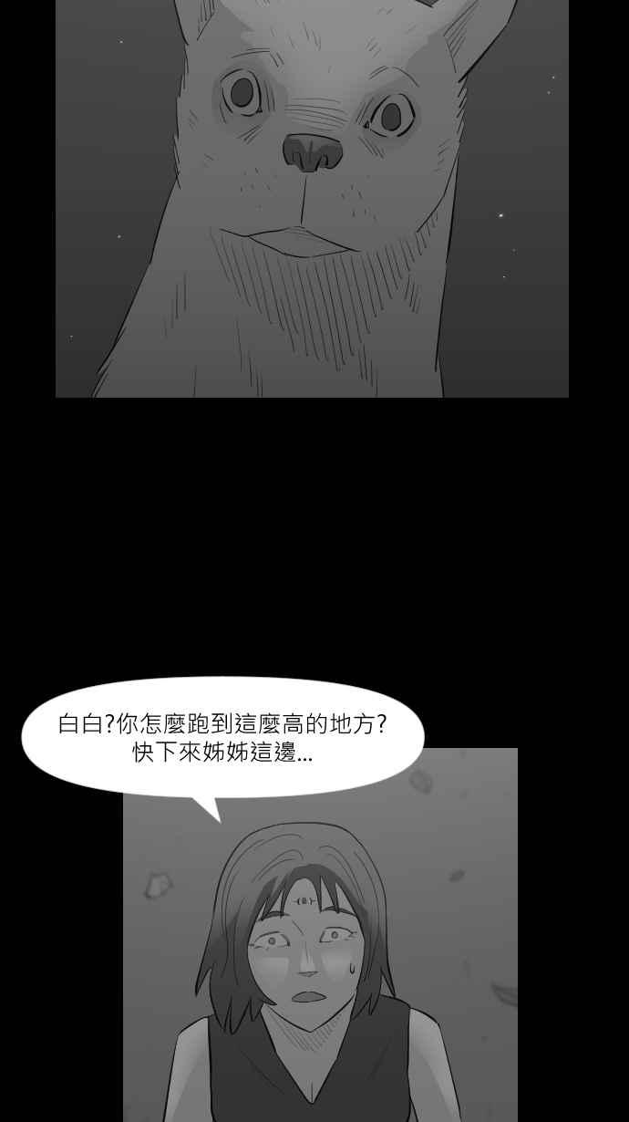 黑盒子 [第262话] 巫女巫(4) 第29页
