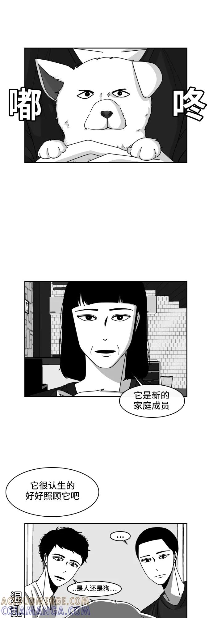 《异姓兄弟和平共处法则》[第13话] 家庭成员 第2页