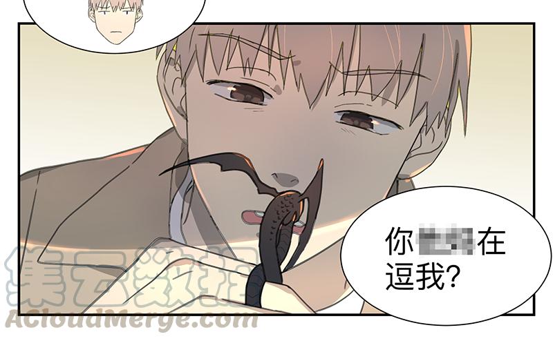 《强者游戏》金银戒 03 点石成金 第3页