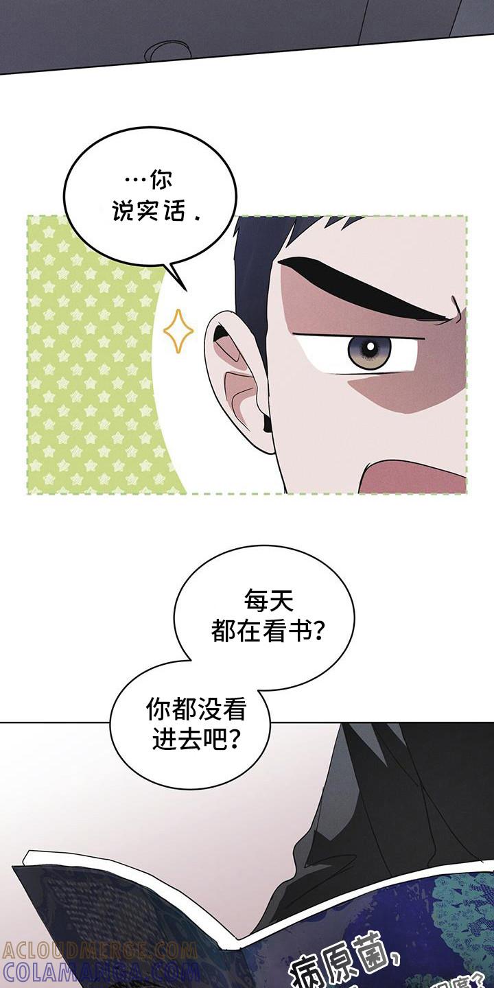 《彩虹城》第100章：【第二季】今天算了 第21页