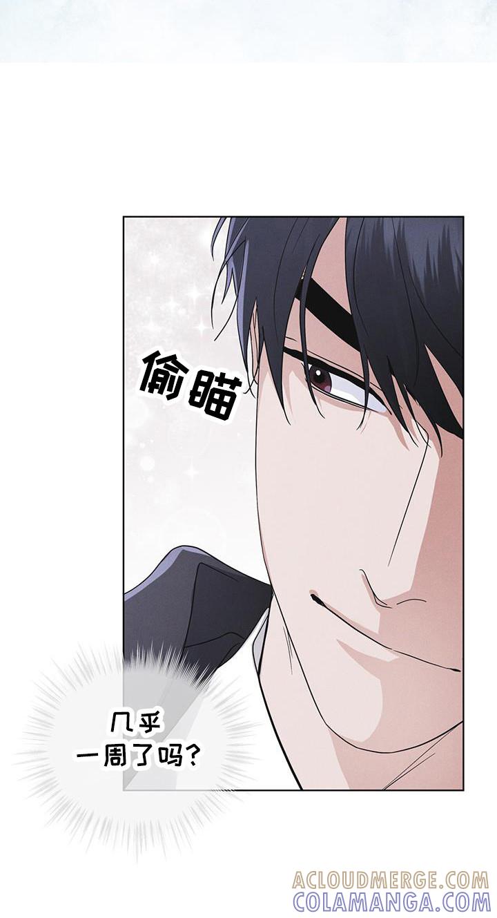《彩虹城》第104章：【第二季】如您所愿 第13页