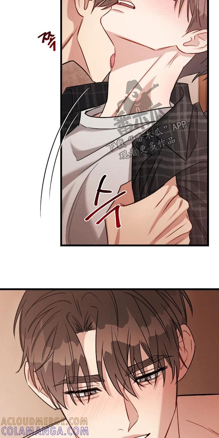 《强制暗示》第114章：【番外】无法原谅 第13页