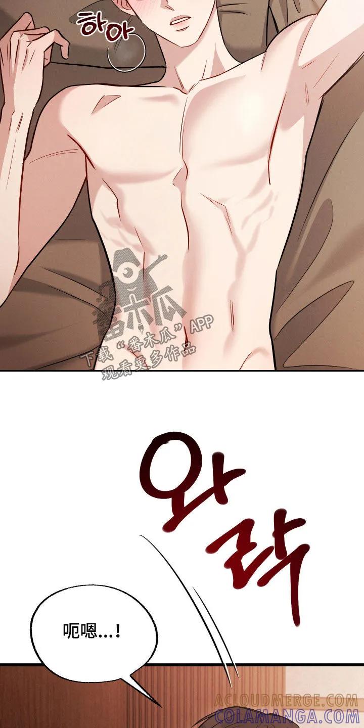 《强制暗示》第114章：【番外】无法原谅 第15页