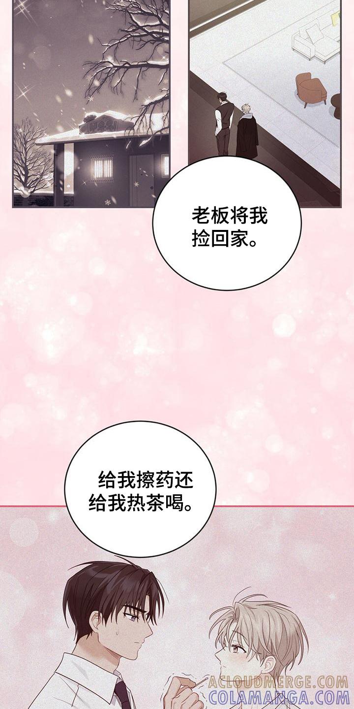 《糖不腻》第19章：不会让你受伤 第7页