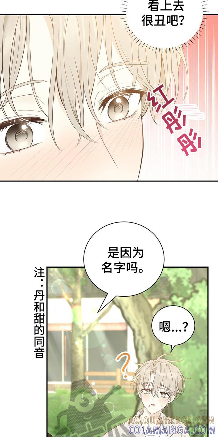 《糖不腻》第21章：随意 第3页