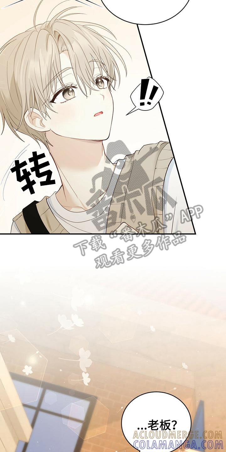 《糖不腻》第23章：新工作 第13页