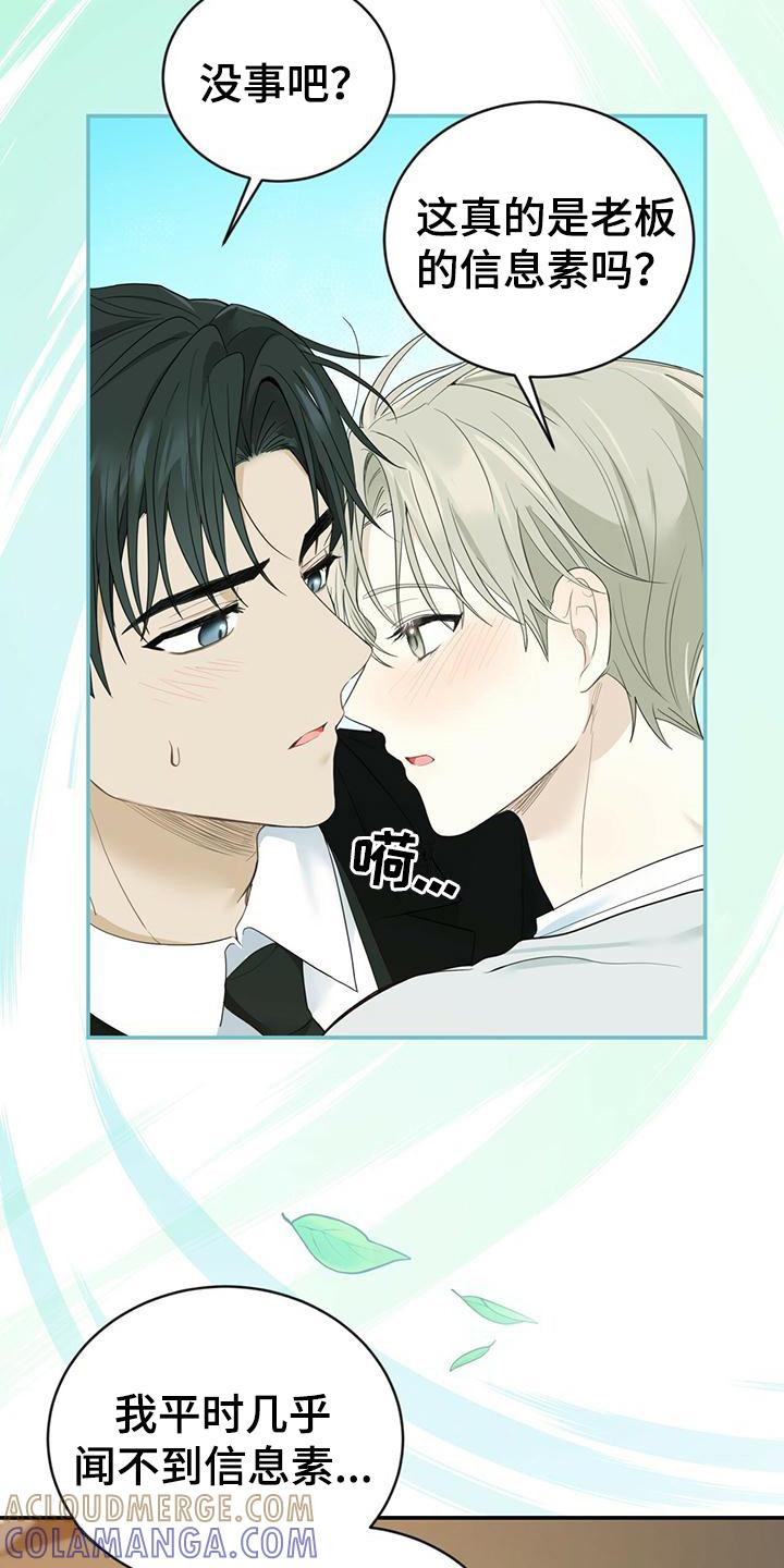 《糖不腻》第26章：信息素 第5页