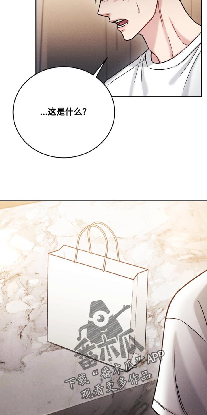 《强制暗示》第27章：前辈的礼物 第18页
