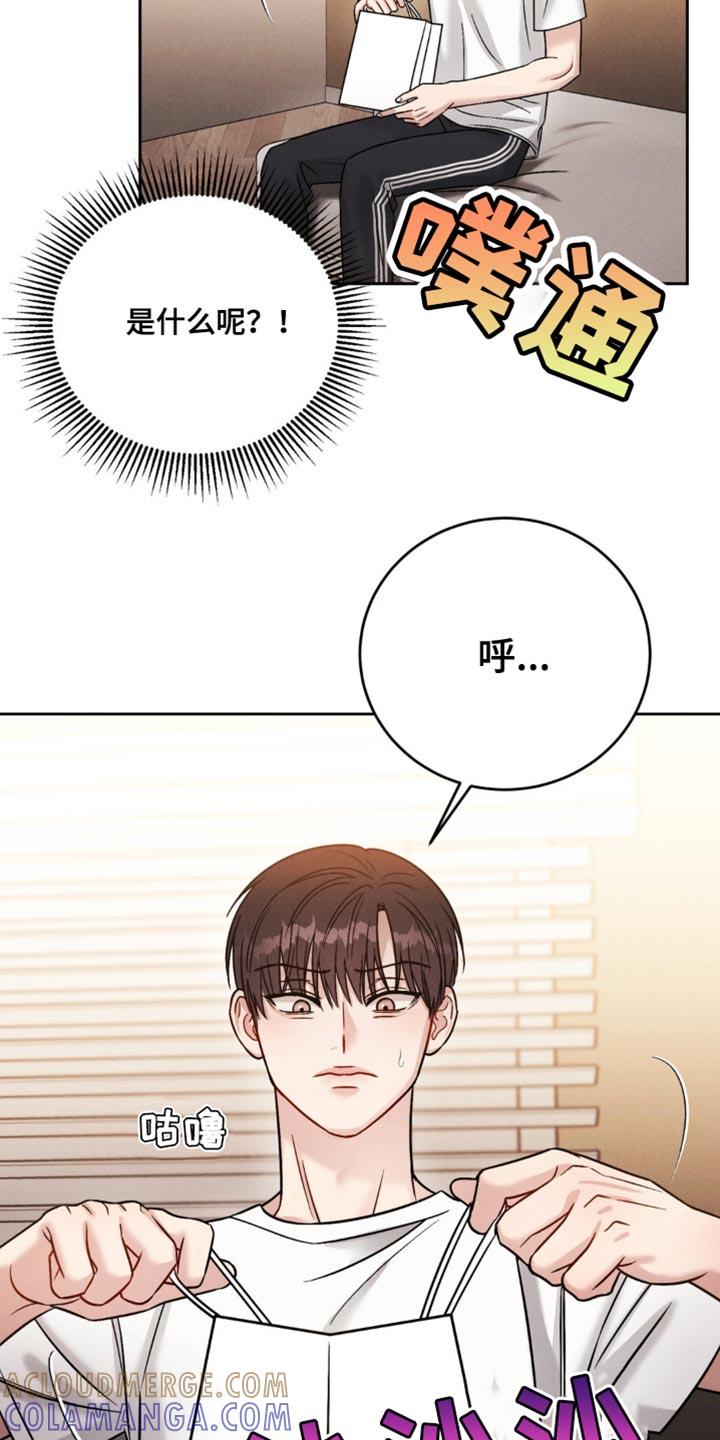 《强制暗示》第27章：前辈的礼物 第27页