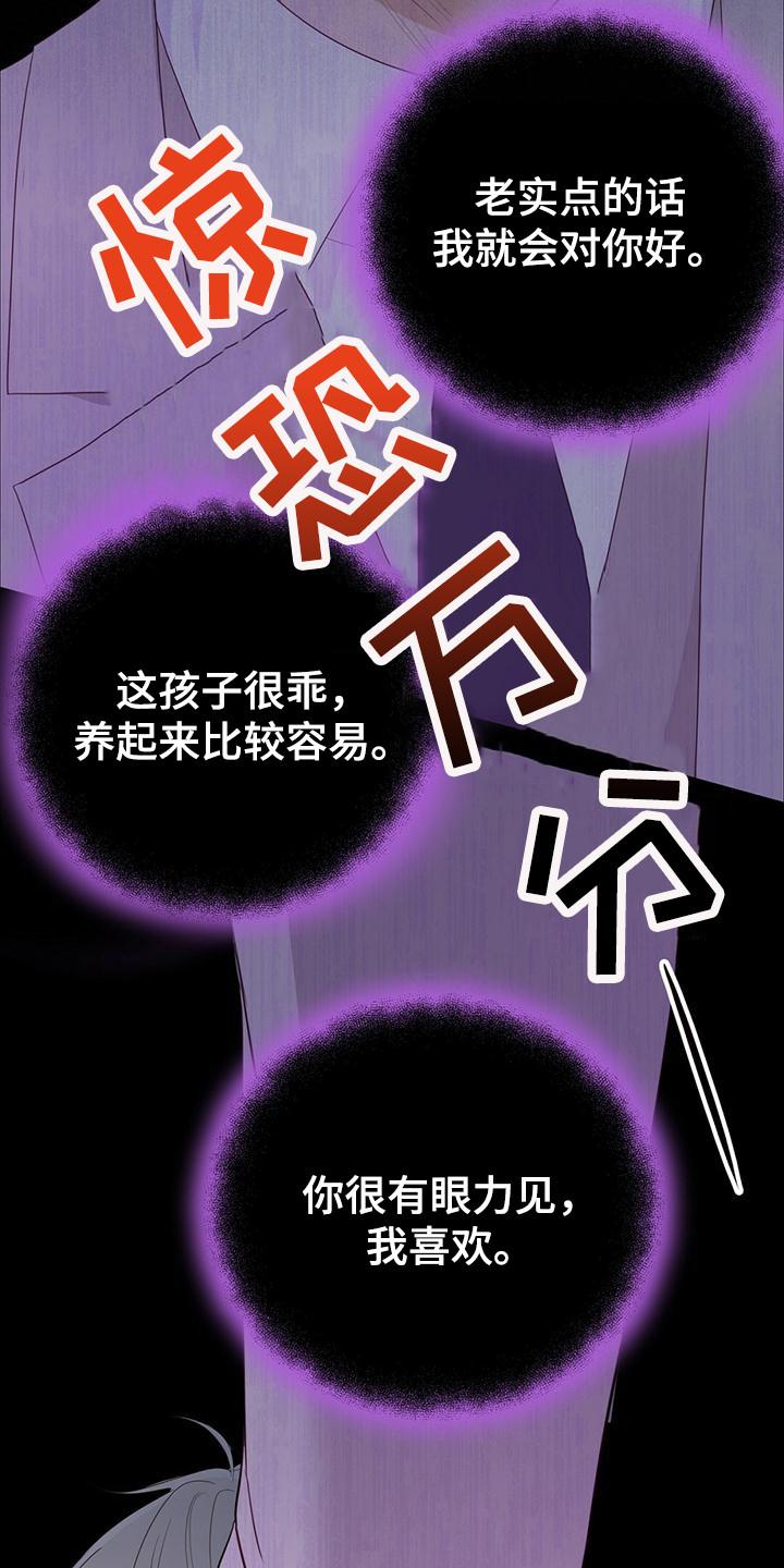 《糖不腻》第33章：帮帮我 第6页
