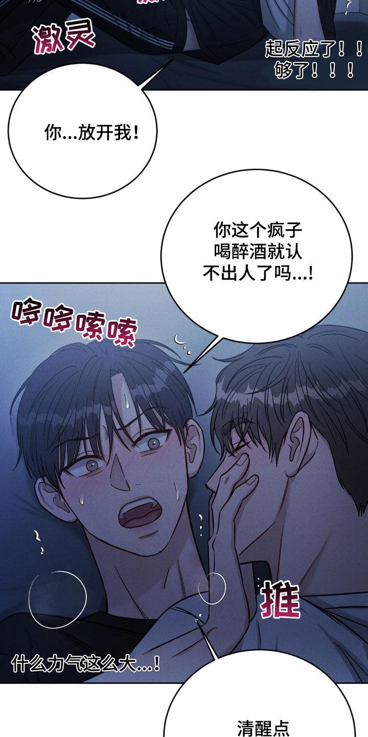 《强制暗示》第37章：喝醉 第20页