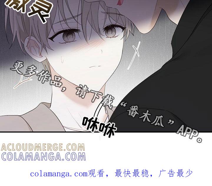 《糖不腻》第38章：好奇心 第29页