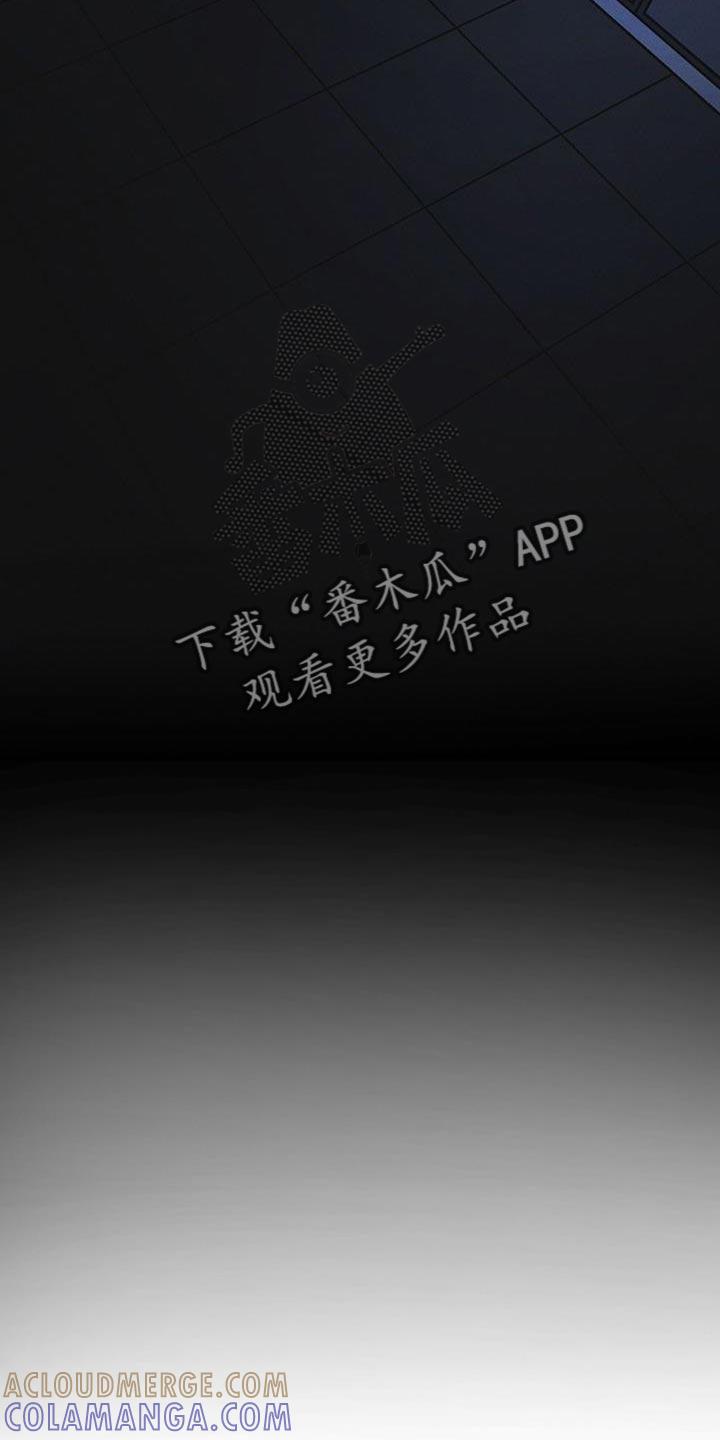 《彩虹城》第40章：去动物园 第11页