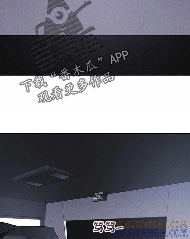 《彩虹城》第42章：动物园 第13页