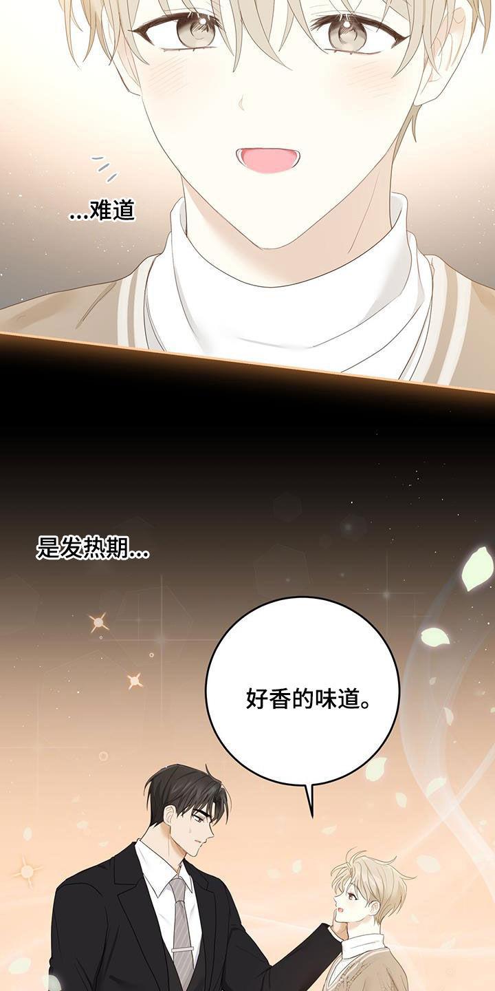 《糖不腻》第46章：信息素的味道 第20页