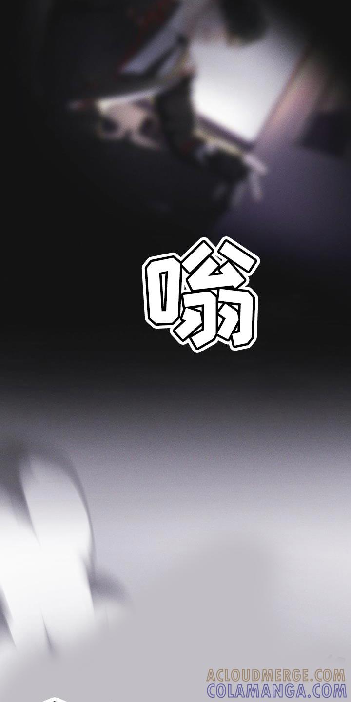 《彩虹城》第46章：车祸 第33页