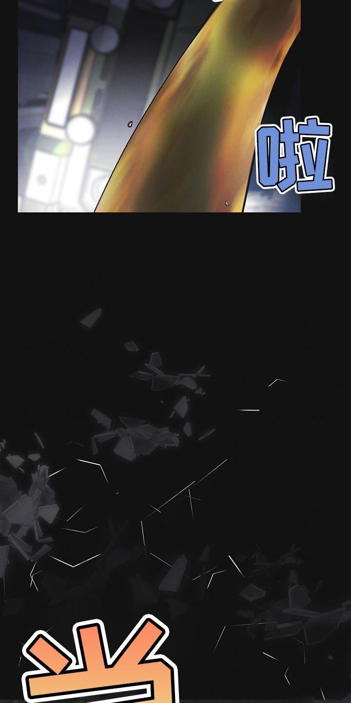 《彩虹城》第47章：绑架 第12页