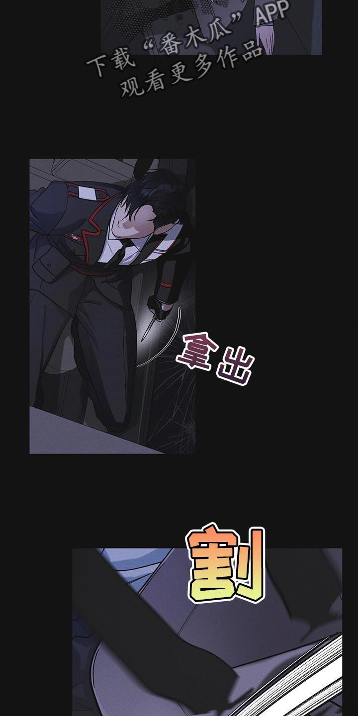 《彩虹城》第47章：绑架 第4页