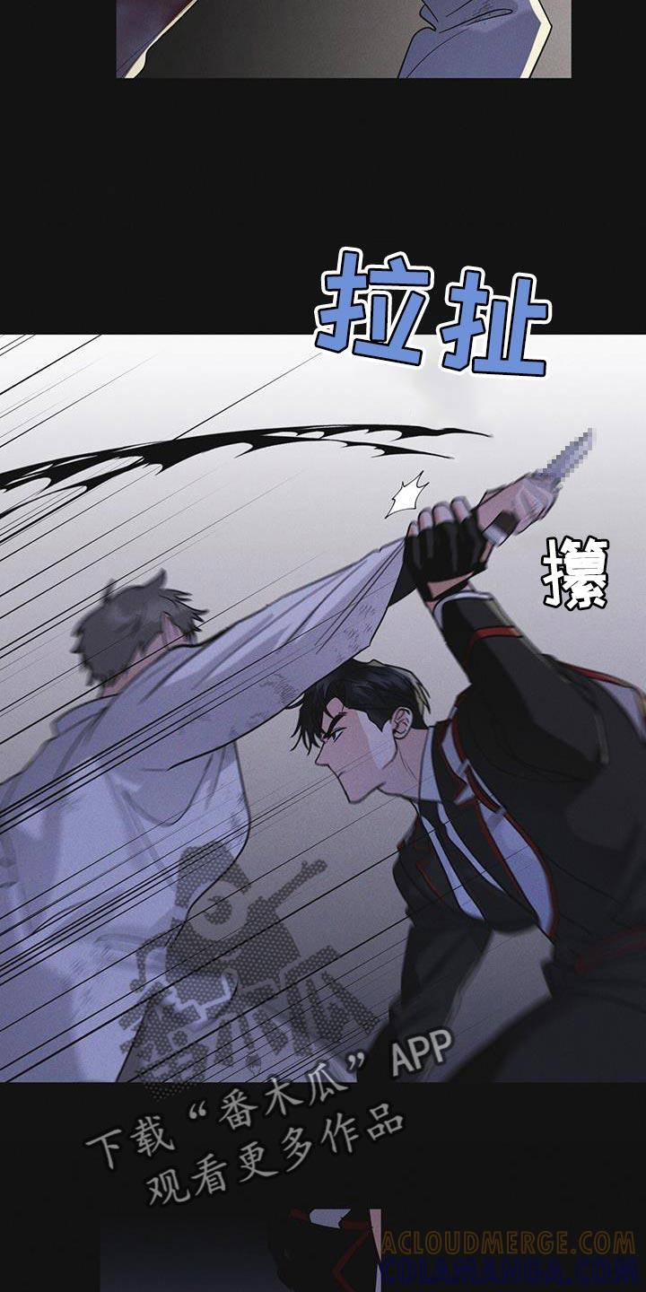 《彩虹城》第48章：追踪 第3页