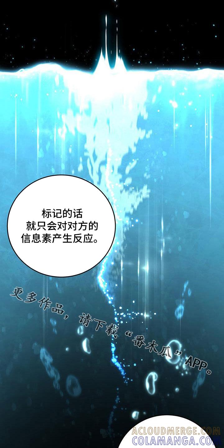 《糖不腻》第48章：单方面标记 第33页