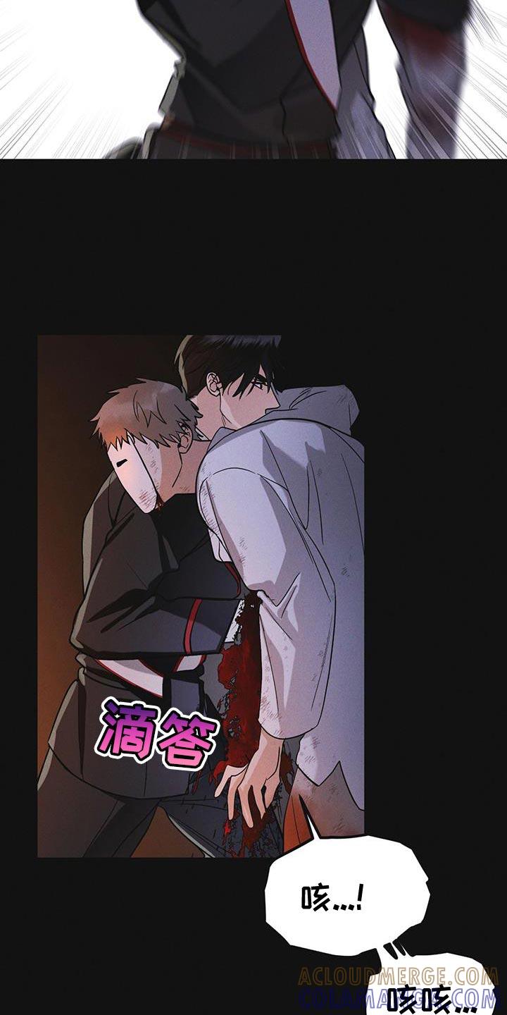 《彩虹城》第48章：追踪 第5页