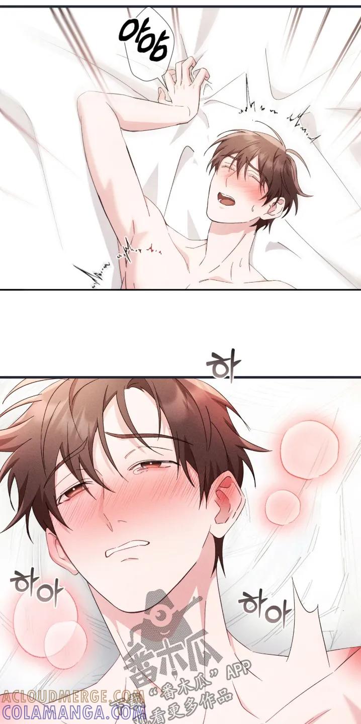 《危情三人戏》第50章：给你难忘 第13页