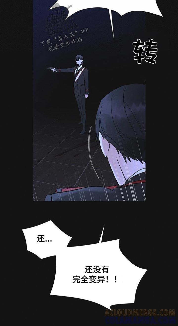《彩虹城》第52章：你在做什么 第21页