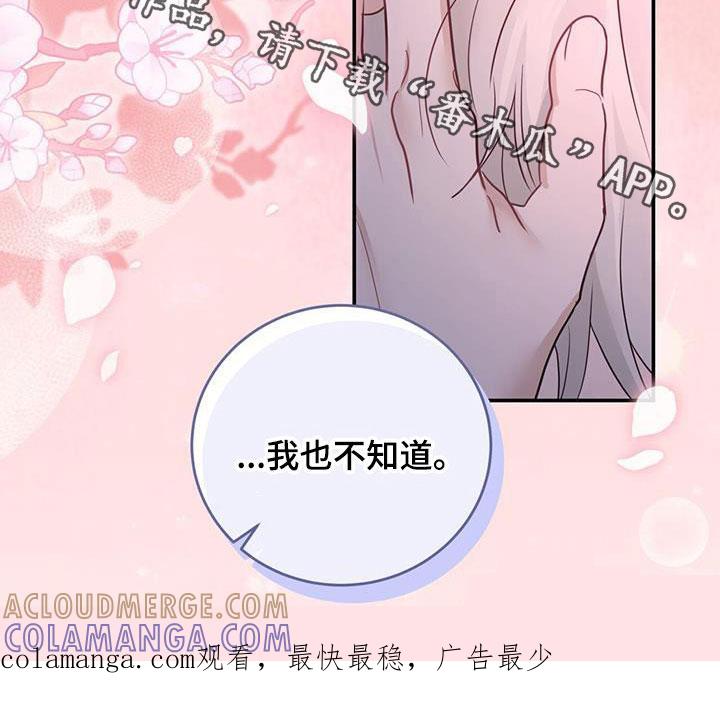 《糖不腻》第52章：喜欢的理由 第31页
