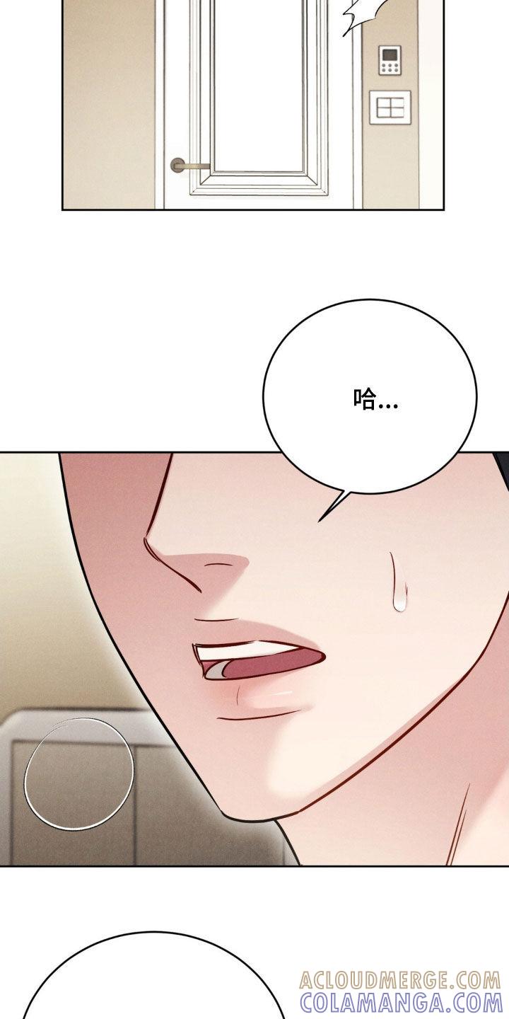 《强制暗示》第53章：【第二季】不记得了 第19页