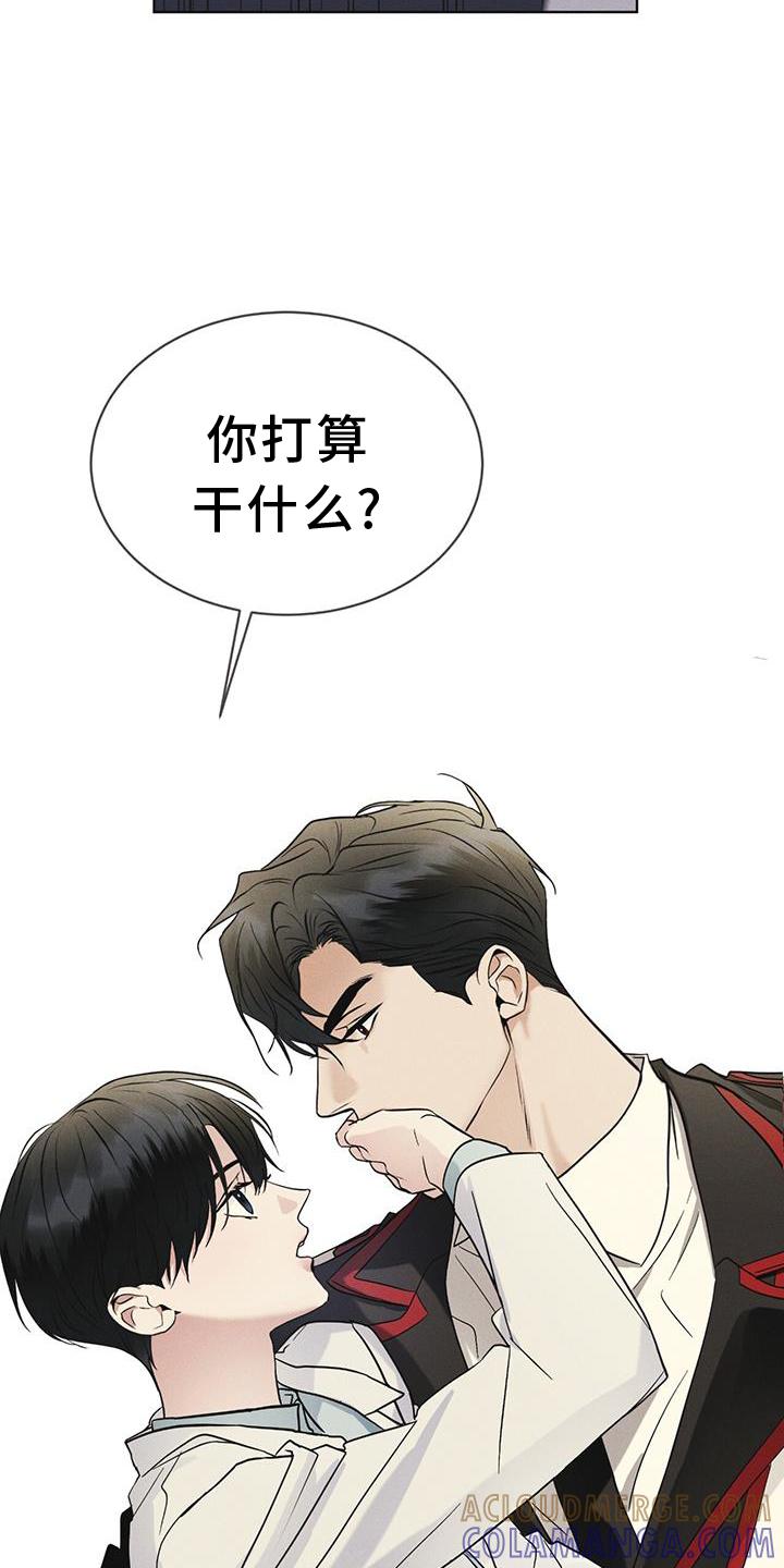 《彩虹城》第59章：不正常 第5页