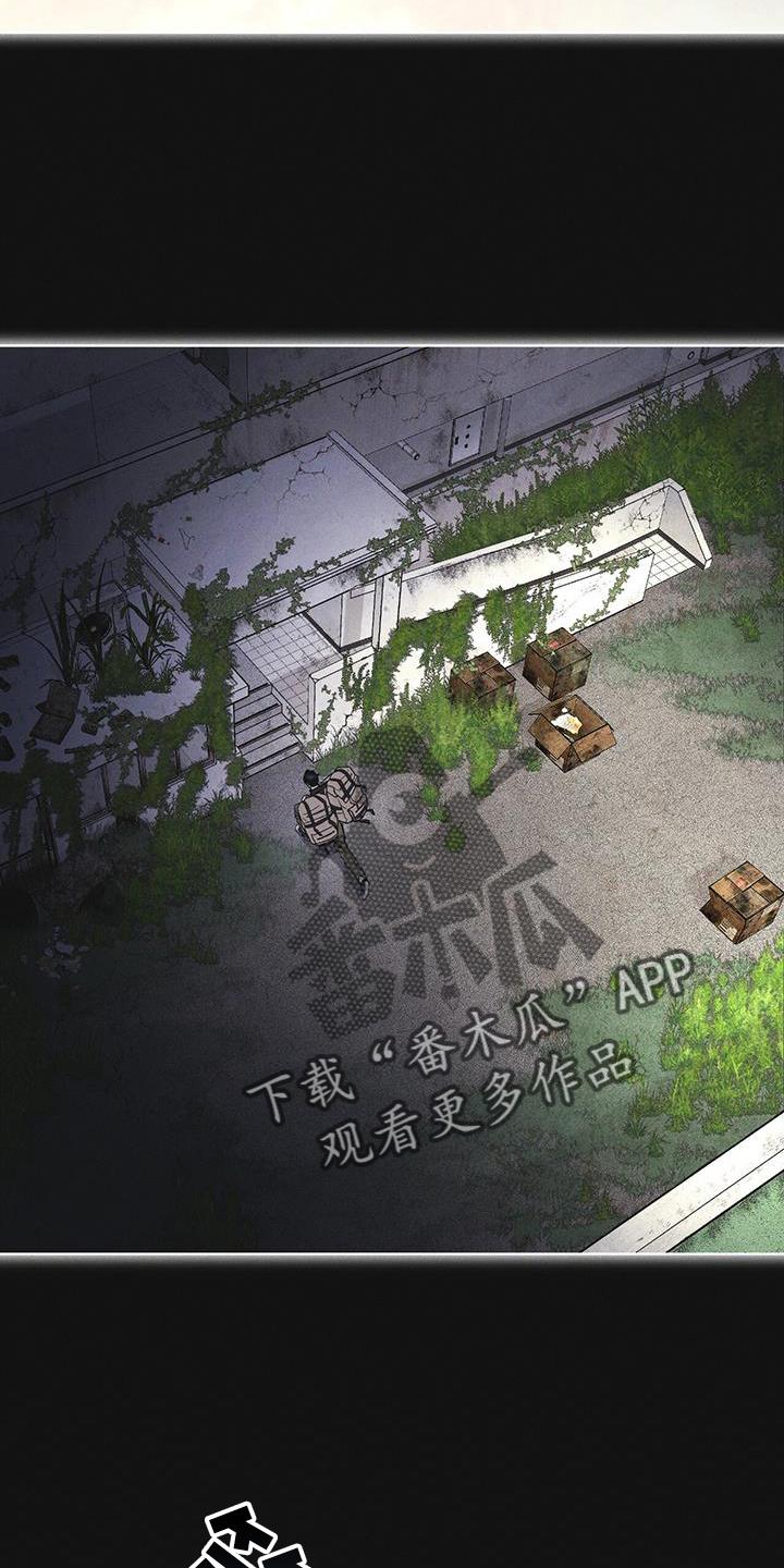 《彩虹城》第62章：无人回应 第20页