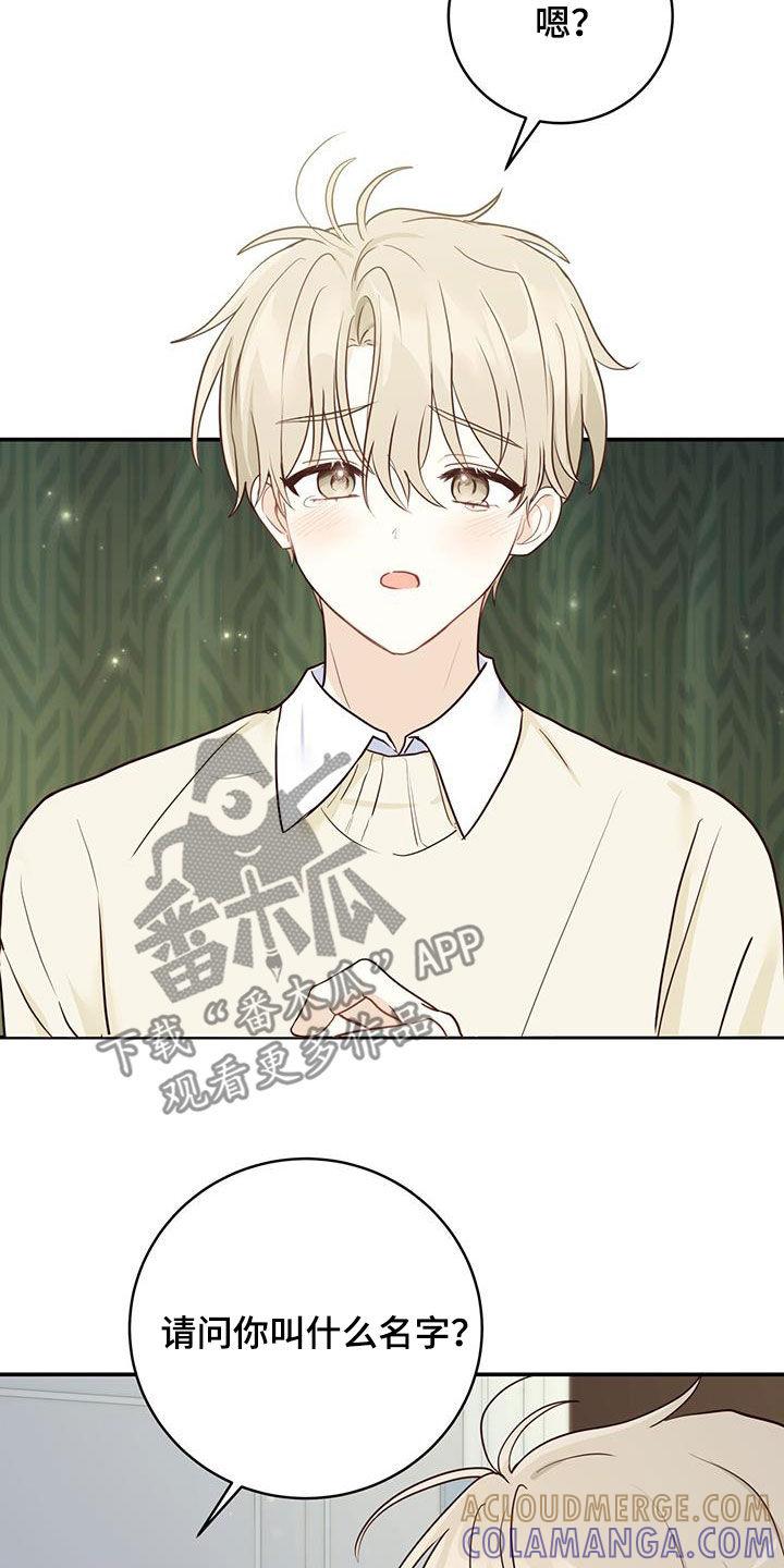 《糖不腻》第64章：唯一的药 第3页