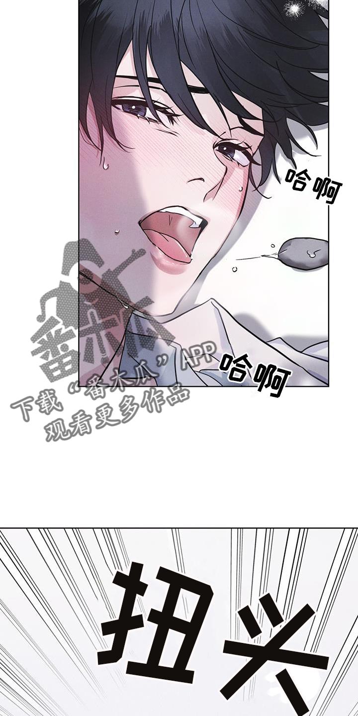 《彩虹城》第65章：查询 第18页