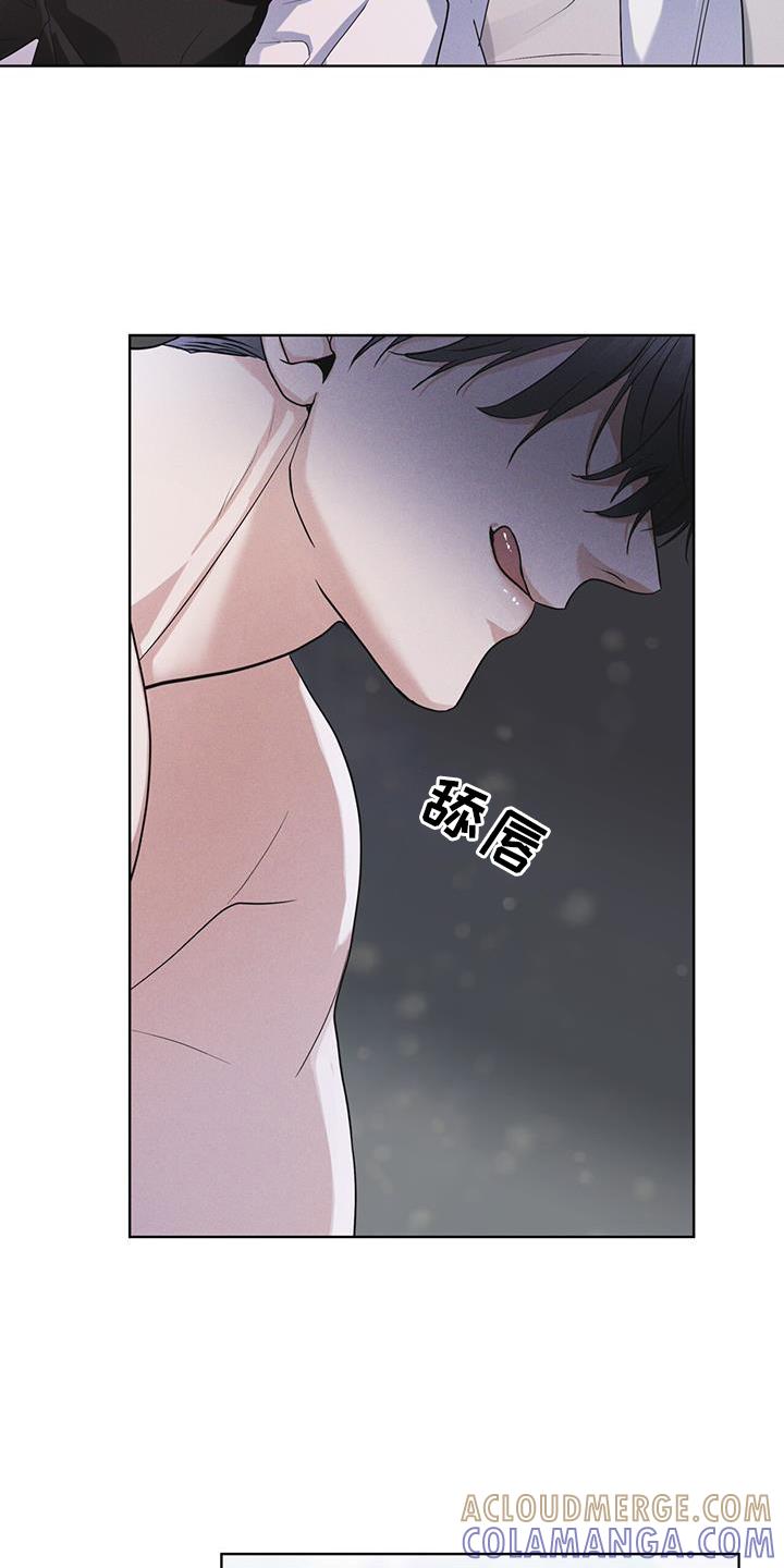 《彩虹城》第65章：查询 第11页