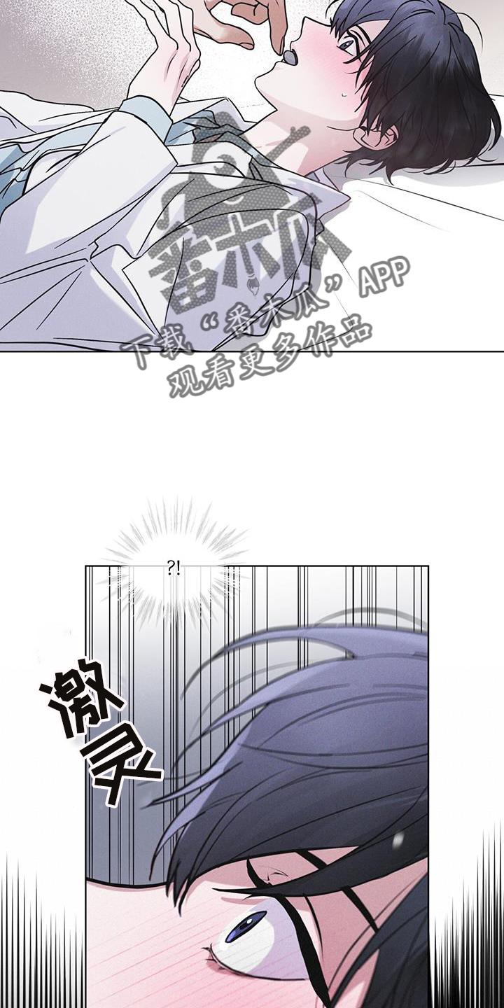 《彩虹城》第65章：查询 第14页