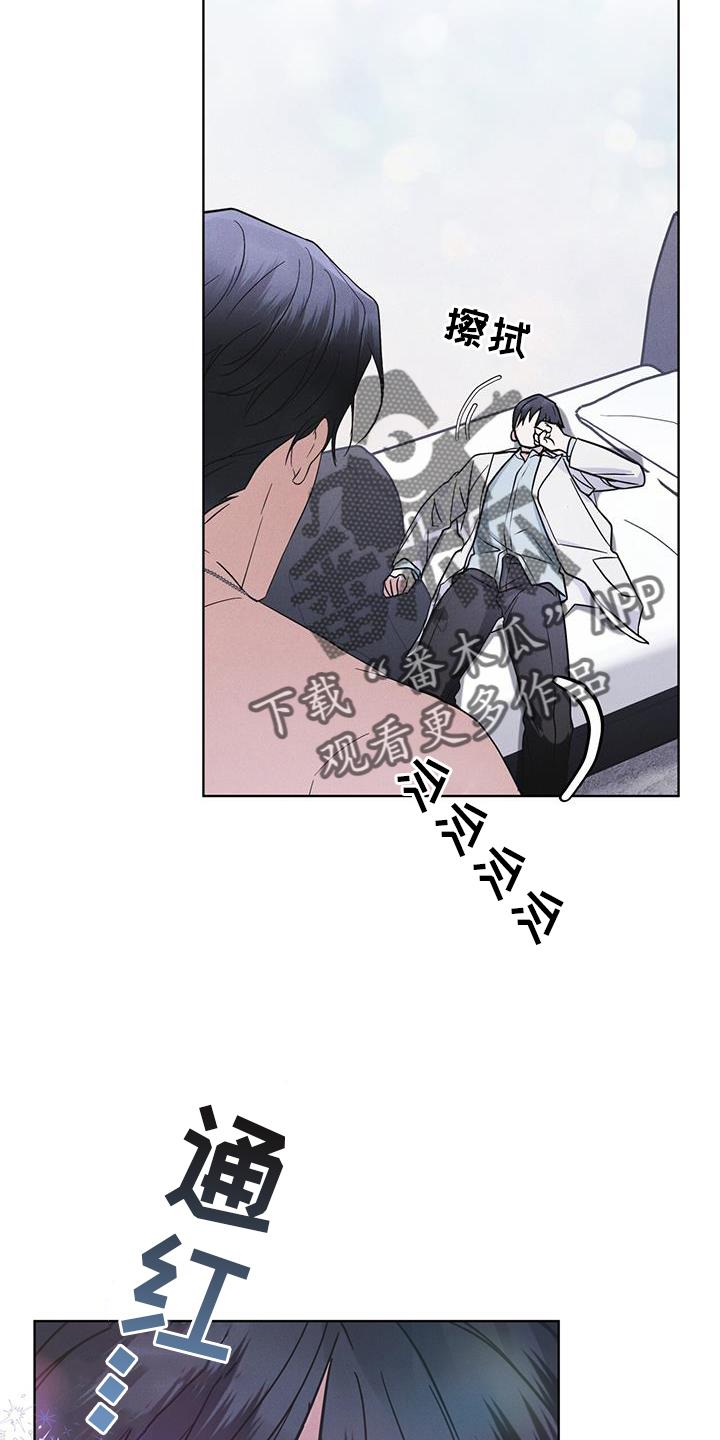《彩虹城》第65章：查询 第12页