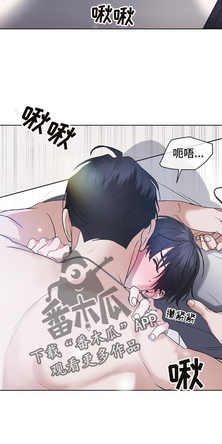《彩虹城》第65章：查询 第16页