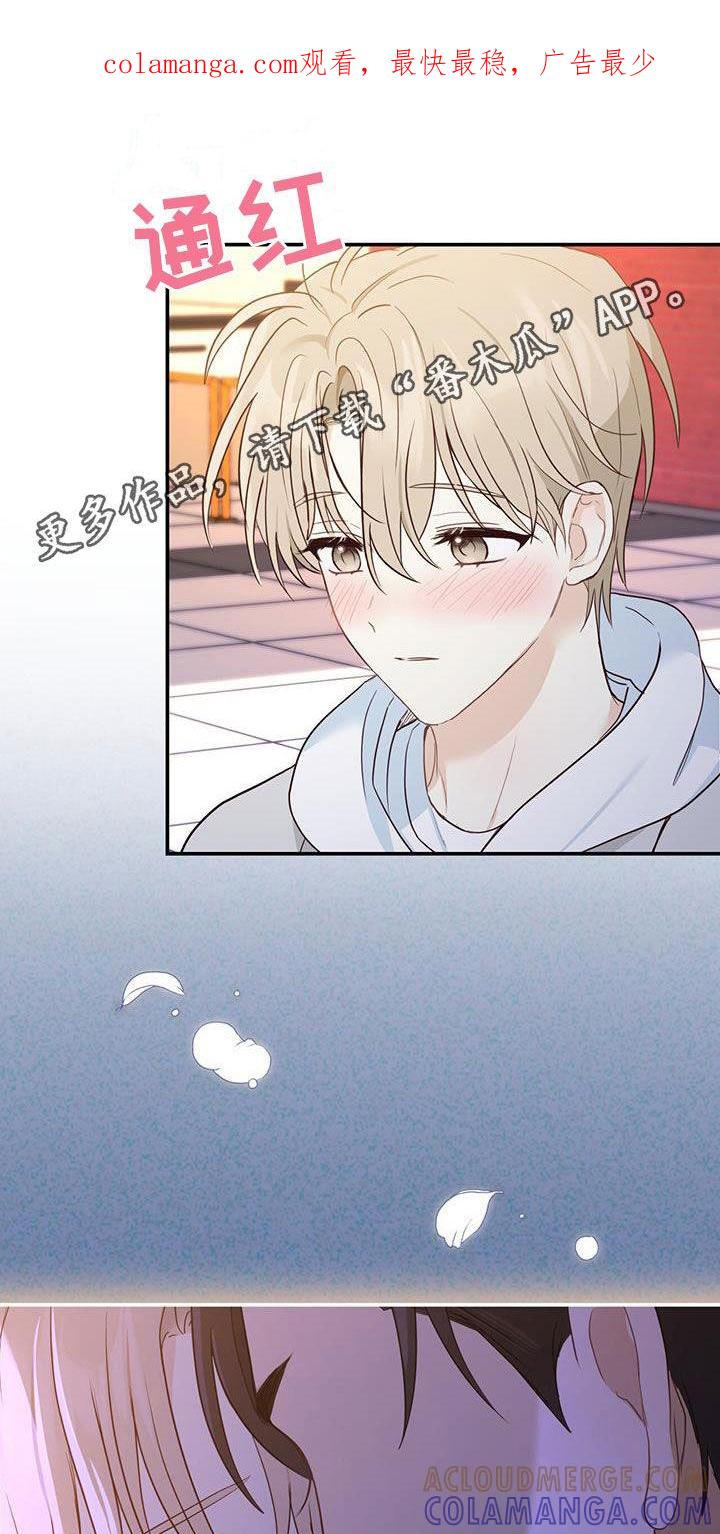 《糖不腻》第67章：身世（第一季完结） 第1页