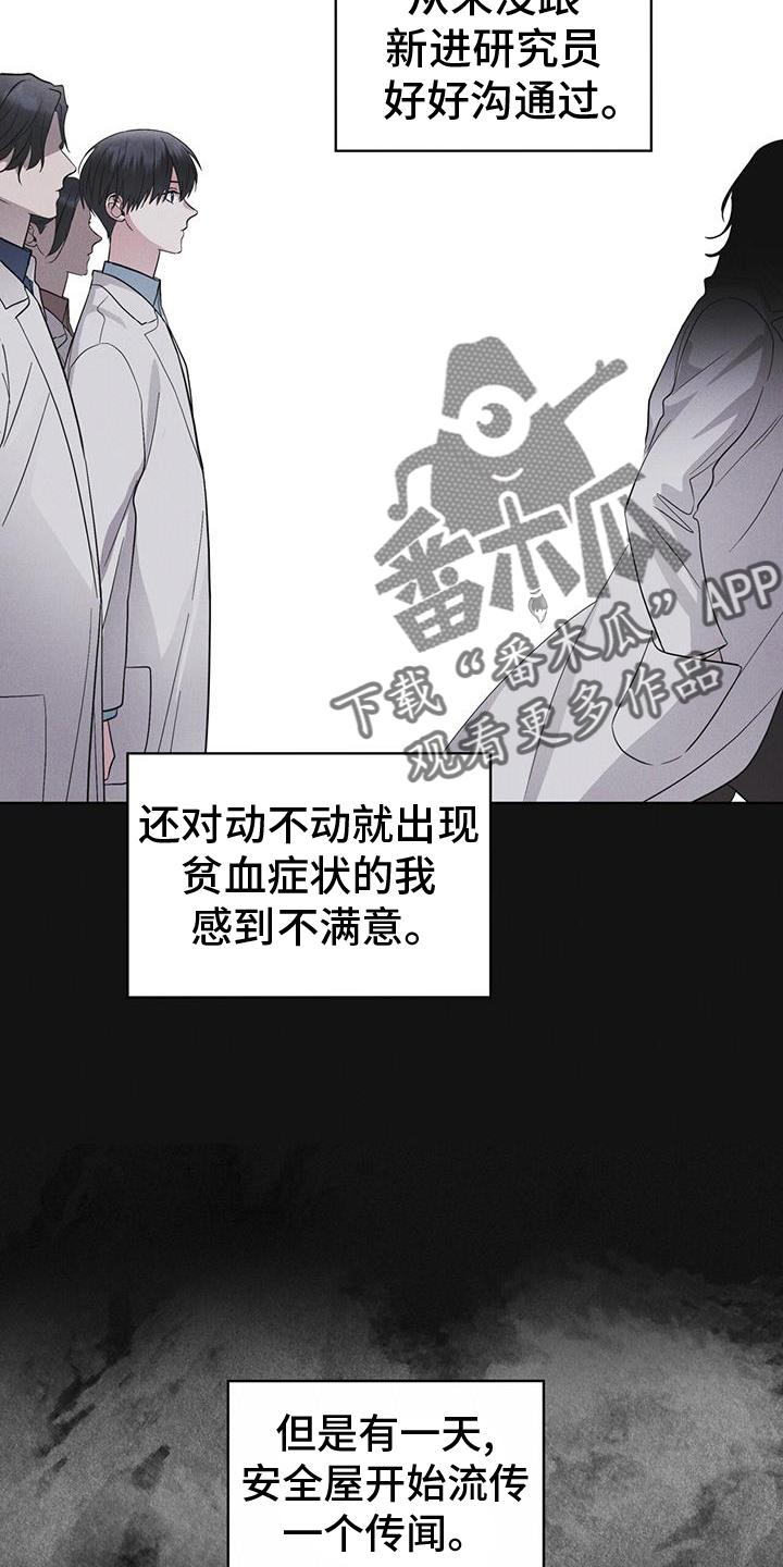 《彩虹城》第67章：带走 第14页