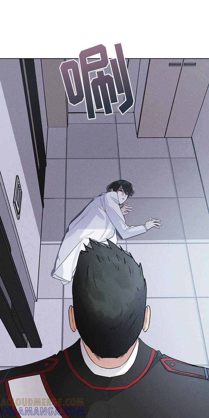 《彩虹城》第67章：带走 第33页