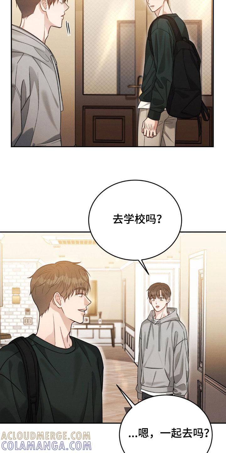 《强制暗示》第68章：【第二季】告白 第19页