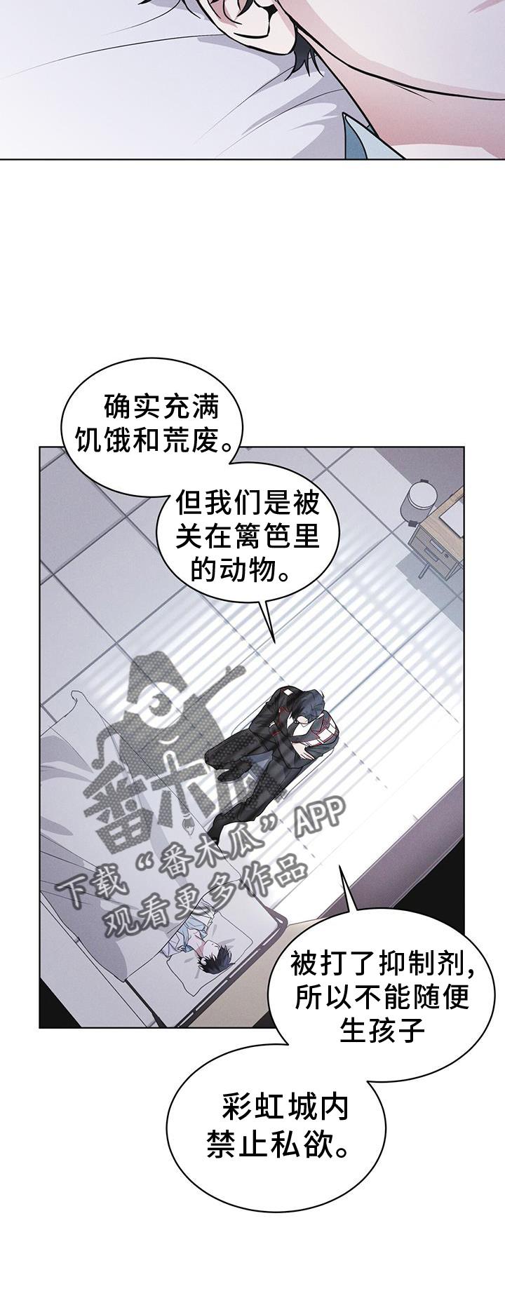 《彩虹城》第70章：【第一季完结】监视 第22页