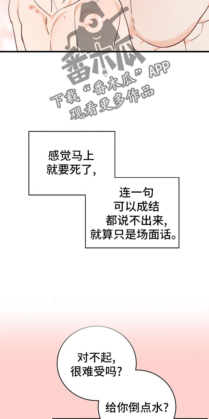 《糖不腻》第74章：【第二季】辞职 第6页