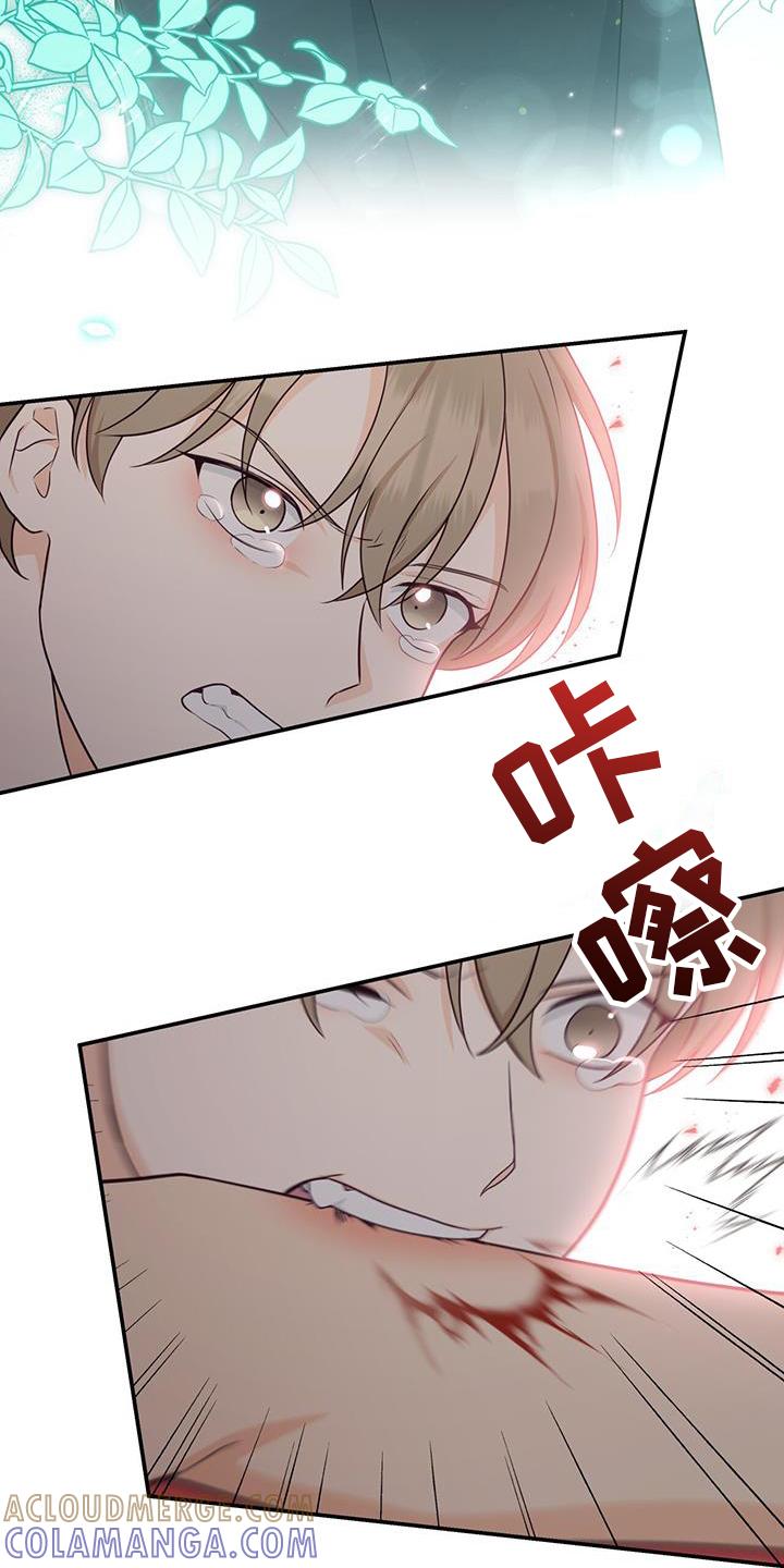 《糖不腻》第76章：【第二季】离去 第5页
