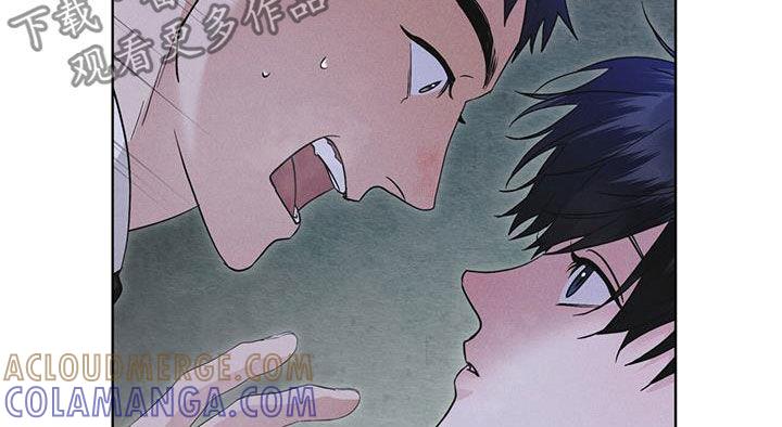 《彩虹城》第77章：【第二季】机密文书 第11页